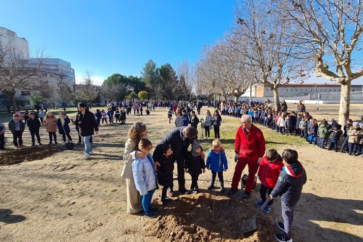 Renaturalizar, algo m&aacute;s que un &aacute;rbol. | Imagen 1