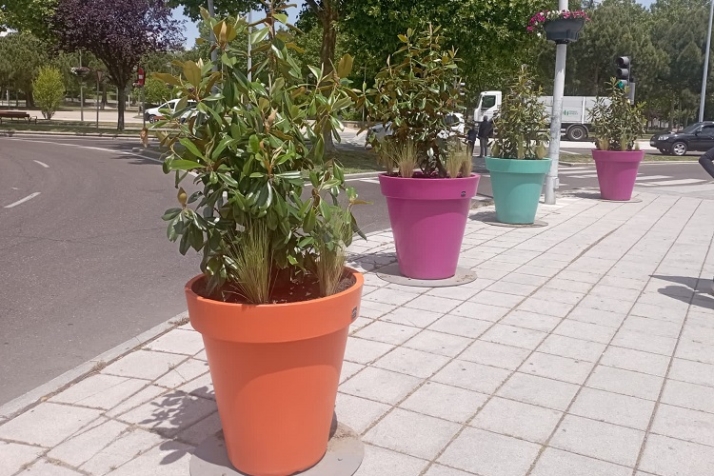 Macetas, la clave para combatir el calentamiento global del planeta | Imagen 3