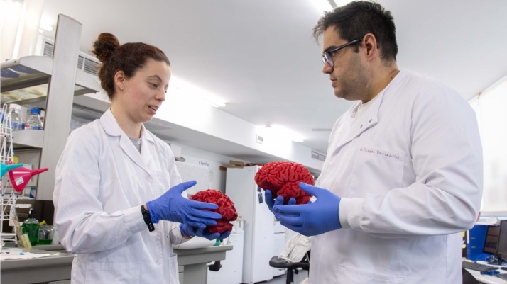Descubren en Salamanca un 'interruptor' cerebral clave en trastornos como el autismo y la esquizofrenia | Imagen 2