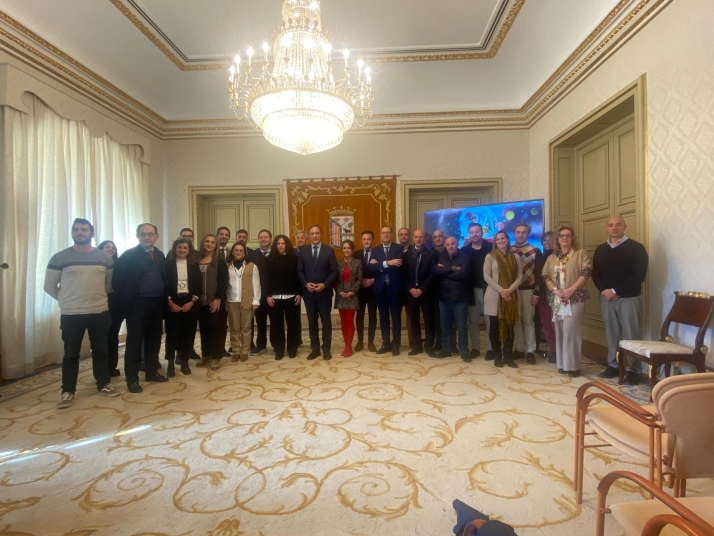 Un gran &aacute;rbol de Navidad de m&aacute;s de 23 metros de altura alumbrar&aacute; la Plaza Mayor de Salamanca  | Imagen 1
