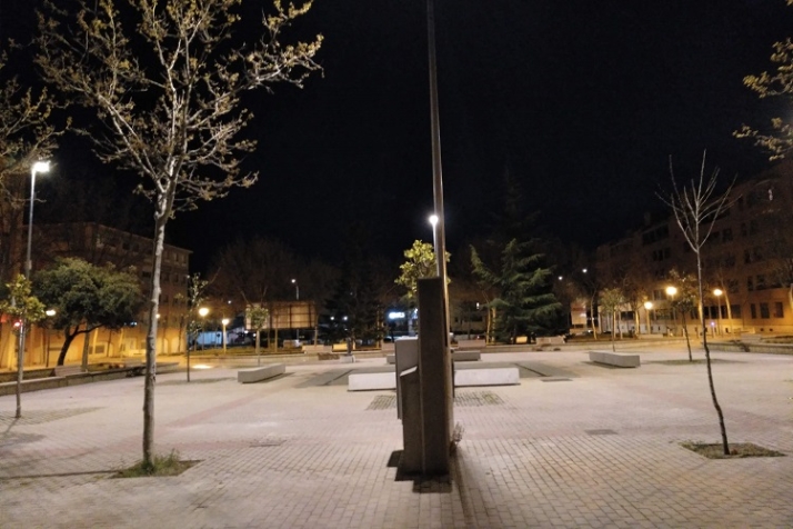 La enigm&aacute;tica evanescencia de varios &aacute;rboles | Imagen 5