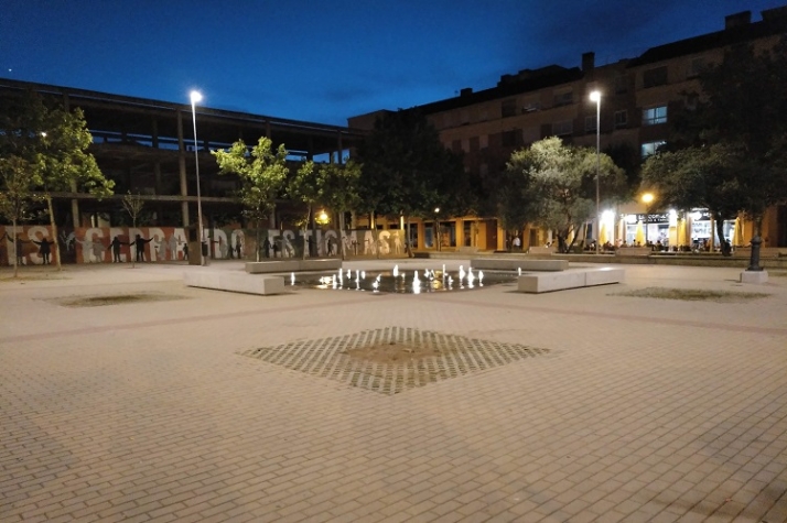 La enigm&aacute;tica evanescencia de varios &aacute;rboles | Imagen 6