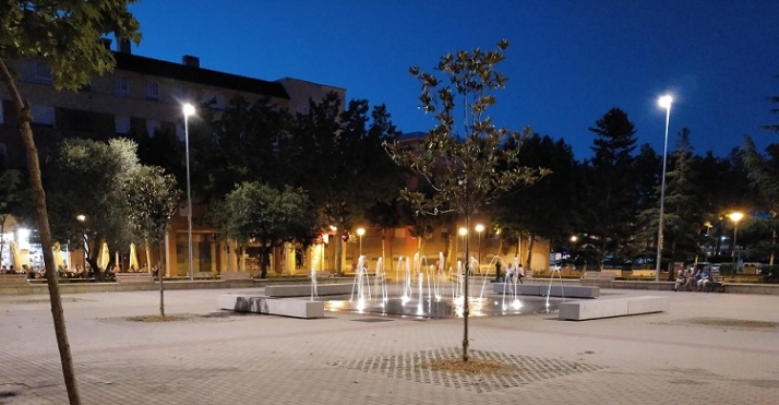 La enigm&aacute;tica evanescencia de varios &aacute;rboles | Imagen 7