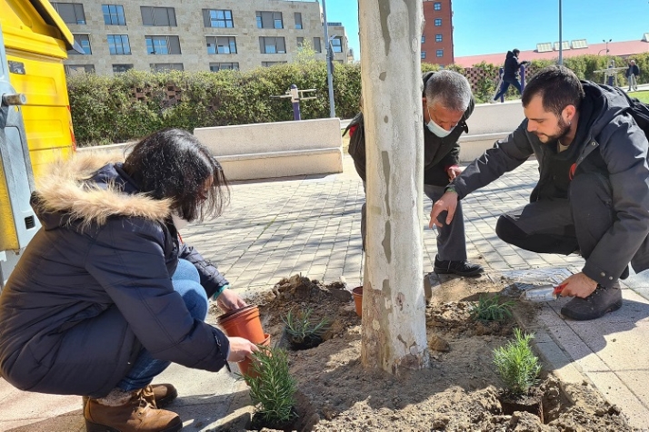 Savia y consecuente pol&iacute;tica de educaci&oacute;n ambiental. | Imagen 2