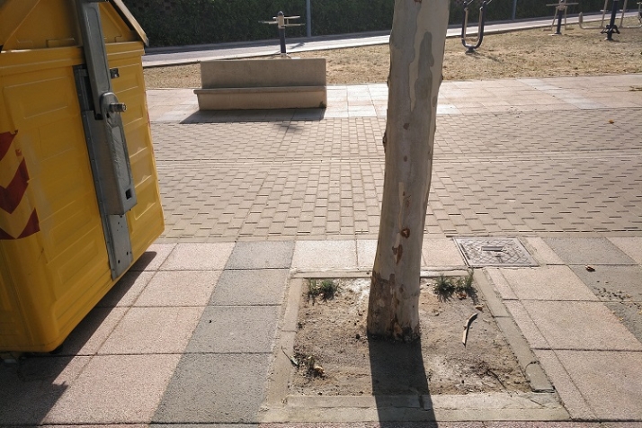 Savia y consecuente pol&iacute;tica de educaci&oacute;n ambiental. | Imagen 3