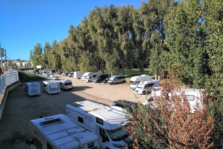 Savia, verde y sostenible gesti&oacute;n arb&oacute;rea. | Imagen 5