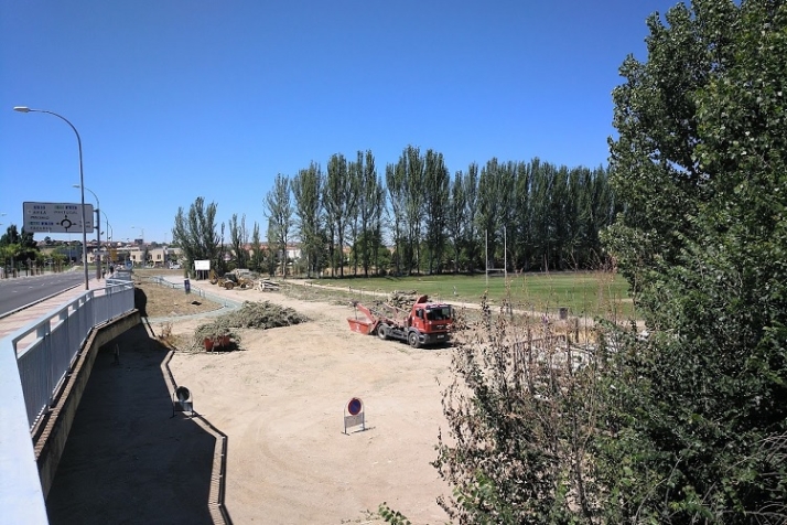 Savia, verde y sostenible gesti&oacute;n arb&oacute;rea. | Imagen 4