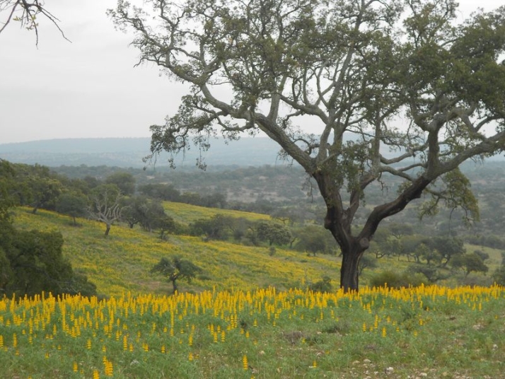 Proyecto Eco Regiones en Portugal, la fertilidad rural del siglo XXI | Imagen 6