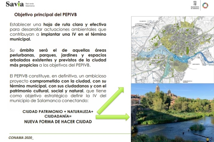 Deforestando "en popa a toda vela". | Imagen 5