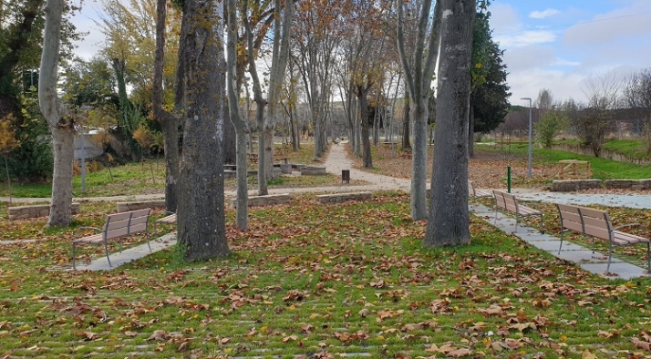 Al fin un nuevo Tejares | Imagen 7