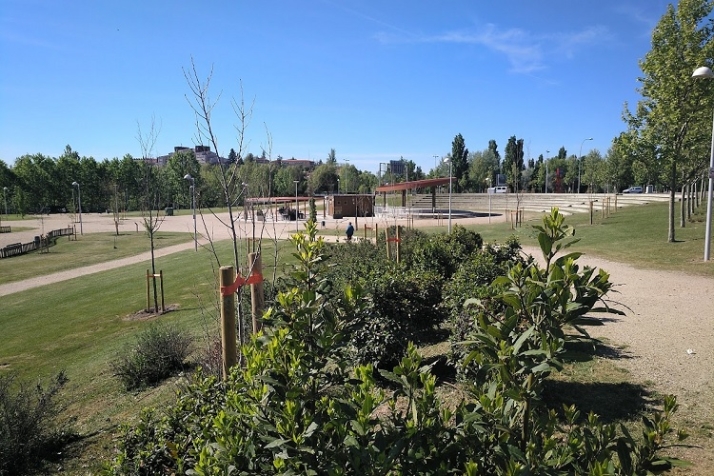 Verde y calor | Imagen 3