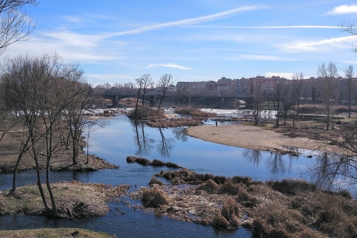 Presa en una selva fluvial. | Imagen 1