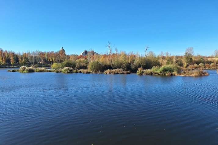 Presa en una selva fluvial. | Imagen 3
