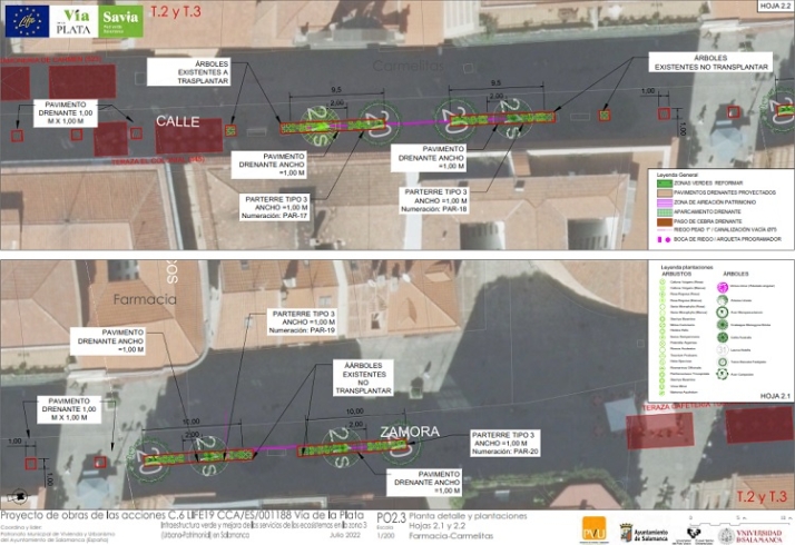 La ilusi&oacute;n de lo que puede llegar a ser. | Imagen 5
