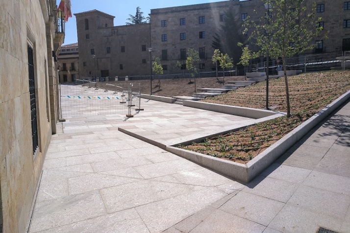 Peatonalizando, pero &iquest;Saviamente? | Imagen 3