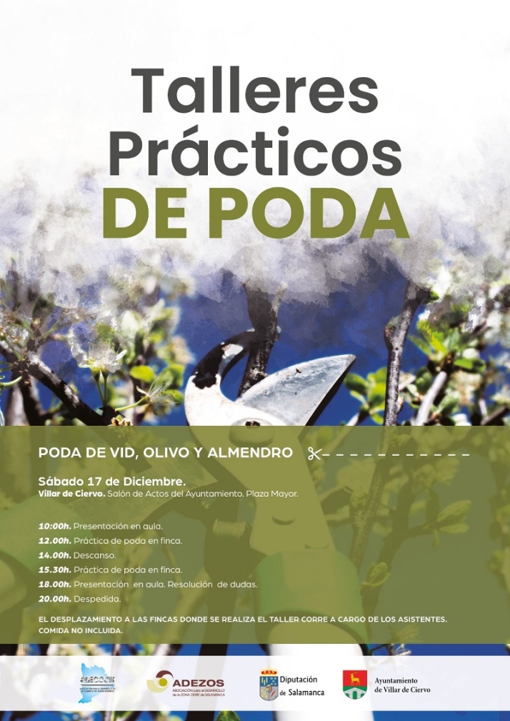 Villar de Ciervo acoger&aacute; un taller gratuito de poda de vid, olivo y almendro | Imagen 1