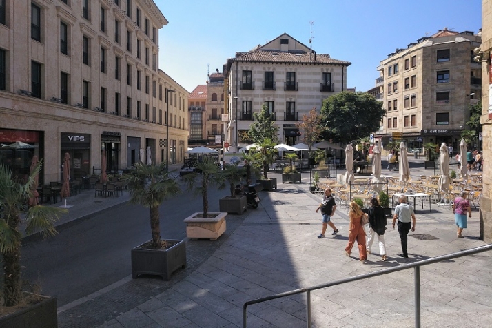 Macetas, la clave para combatir el calentamiento global del planeta | Imagen 4