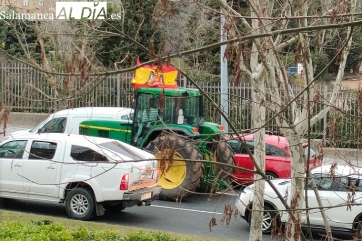 Tienen muchas razones, pero &iquest;la raz&oacute;n? | Imagen 5