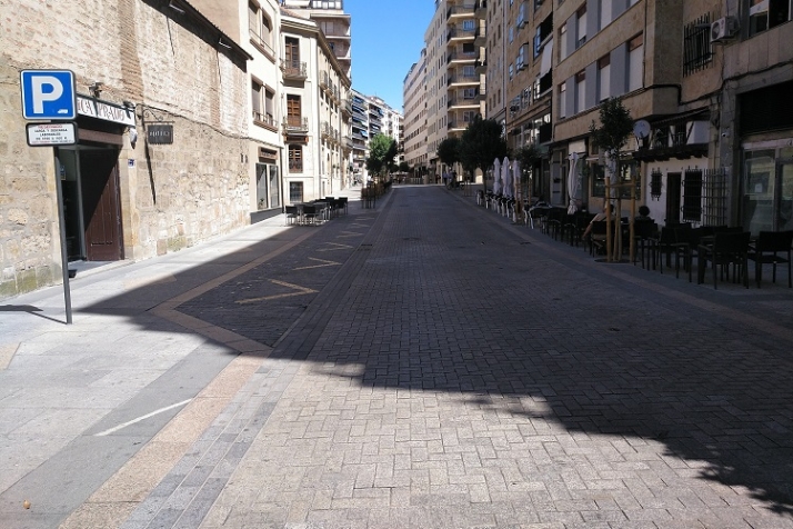 Contradicciones en &ldquo;una misma&rdquo; calle peatonal. | Imagen 1