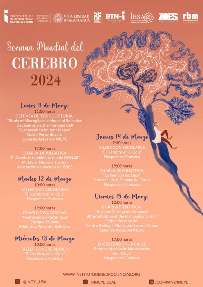La nueva edici&oacute;n de la Semana del Cerebro incorpora una carpa inmersiva en Fonseca | Imagen 1