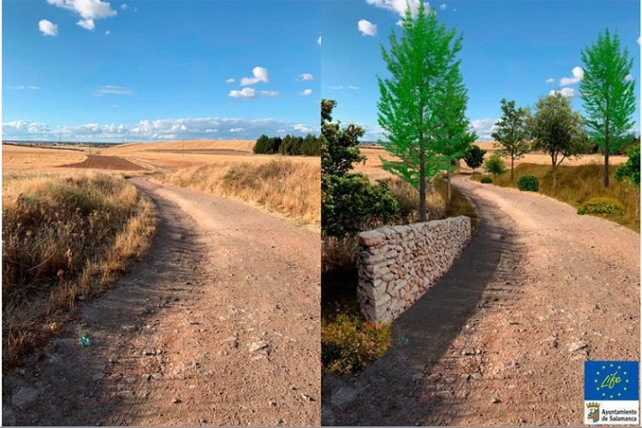 &iquest;Ser&aacute; solo un an&eacute;cdota? | Imagen 3