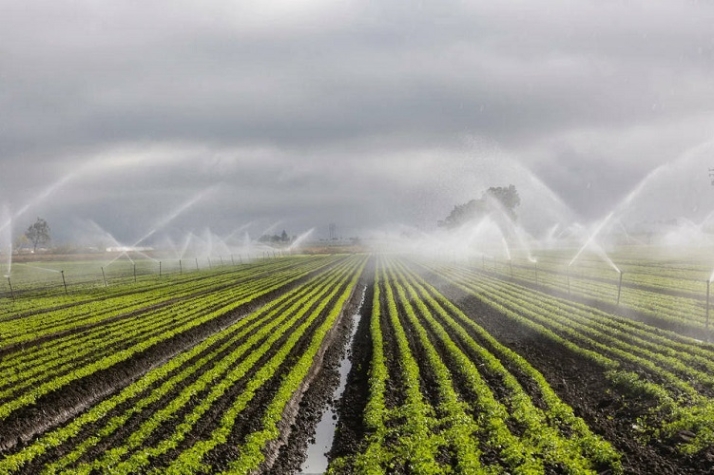 Tienen muchas razones, pero &iquest;la raz&oacute;n? | Imagen 3