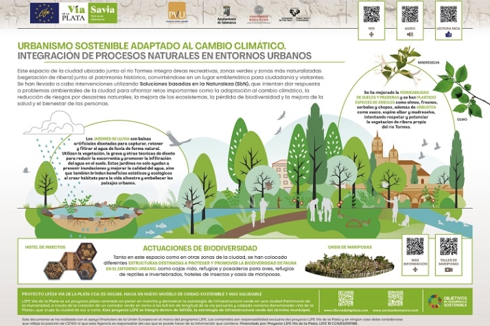 Deforestando "en popa a toda vela". | Imagen 6