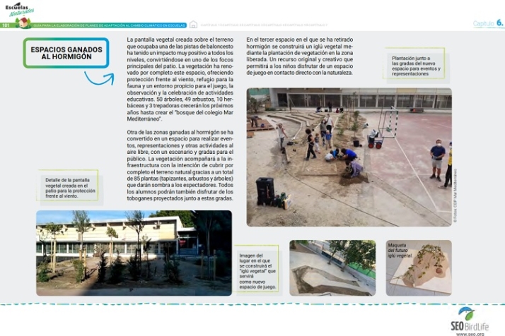 Renaturalizar, algo m&aacute;s que un &aacute;rbol. | Imagen 7