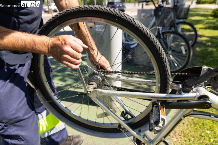 V&Iacute;DEO | El servicio de mantenimiento de Salenbici reubica y repara las bicicletas los 365 d&iacute;as del a&ntilde;o | Imagen 2