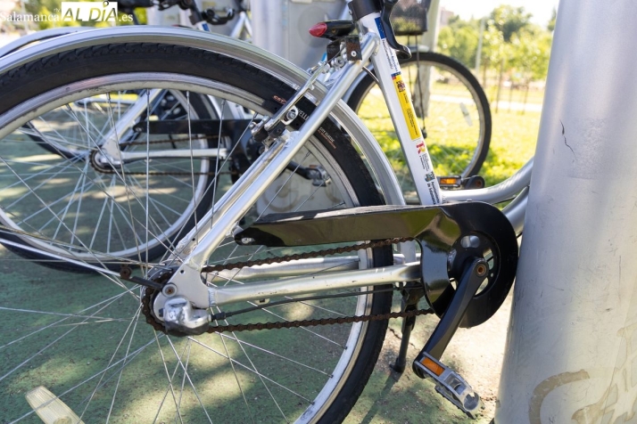 V&Iacute;DEO | El servicio de mantenimiento de Salenbici reubica y repara las bicicletas los 365 d&iacute;as del a&ntilde;o | Imagen 1
