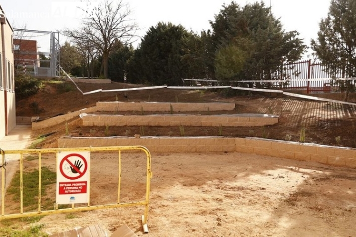 Renaturalizar, algo m&aacute;s que un &aacute;rbol. | Imagen 2