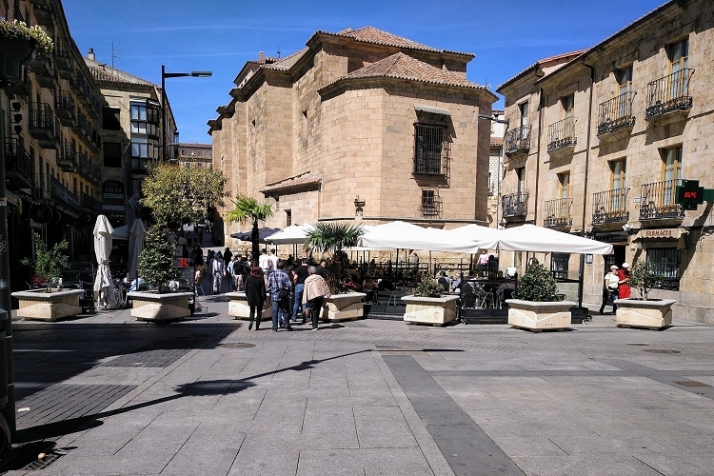 Macetas, la clave para combatir el calentamiento global del planeta | Imagen 5