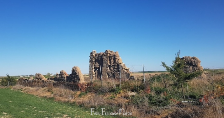 Sordos, las olvidadas l&aacute;grimas que besan el campo de Gomecello | Imagen 1
