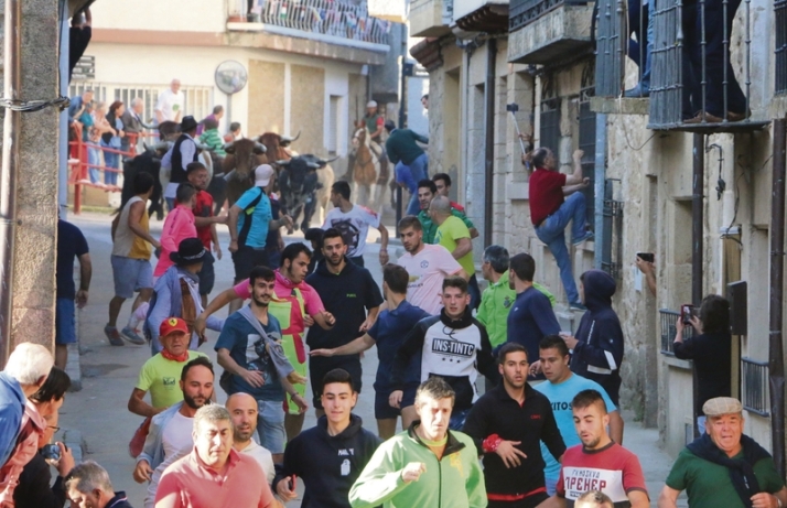 El desenjaule da oficialmente el pistoletazo de salida a las Fiestas del Toro de Aldead&aacute;vila | Imagen 1