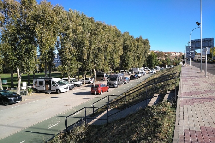 Savia, verde y sostenible gesti&oacute;n arb&oacute;rea. | Imagen 2