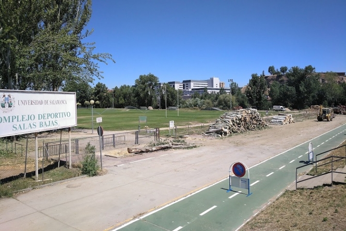 Savia, verde y sostenible gesti&oacute;n arb&oacute;rea. | Imagen 3