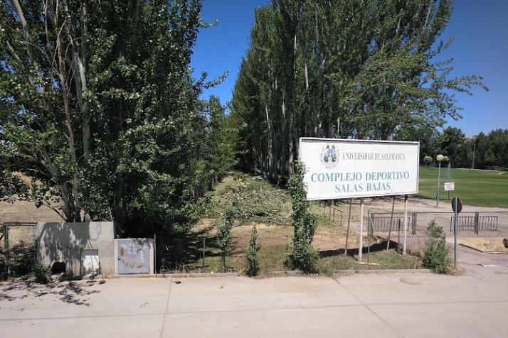 Savia, verde y sostenible gesti&oacute;n arb&oacute;rea. | Imagen 6