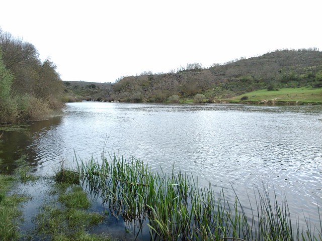 La barca de Guadramiro sobre el r&iacute;o Huebra | Imagen 1