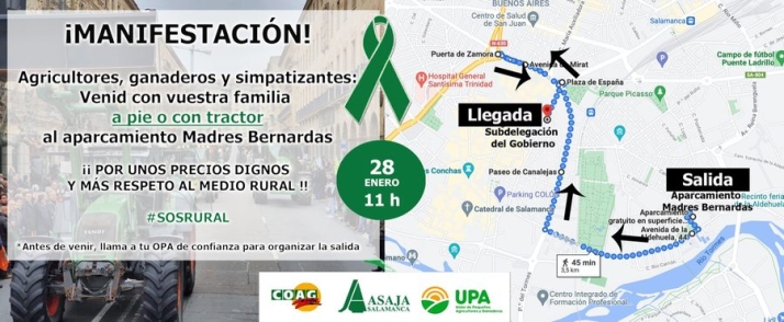 El campo salmantino vuelve a las calles de la capital para pedir unos &ldquo;precios dignos&rdquo; | Imagen 1