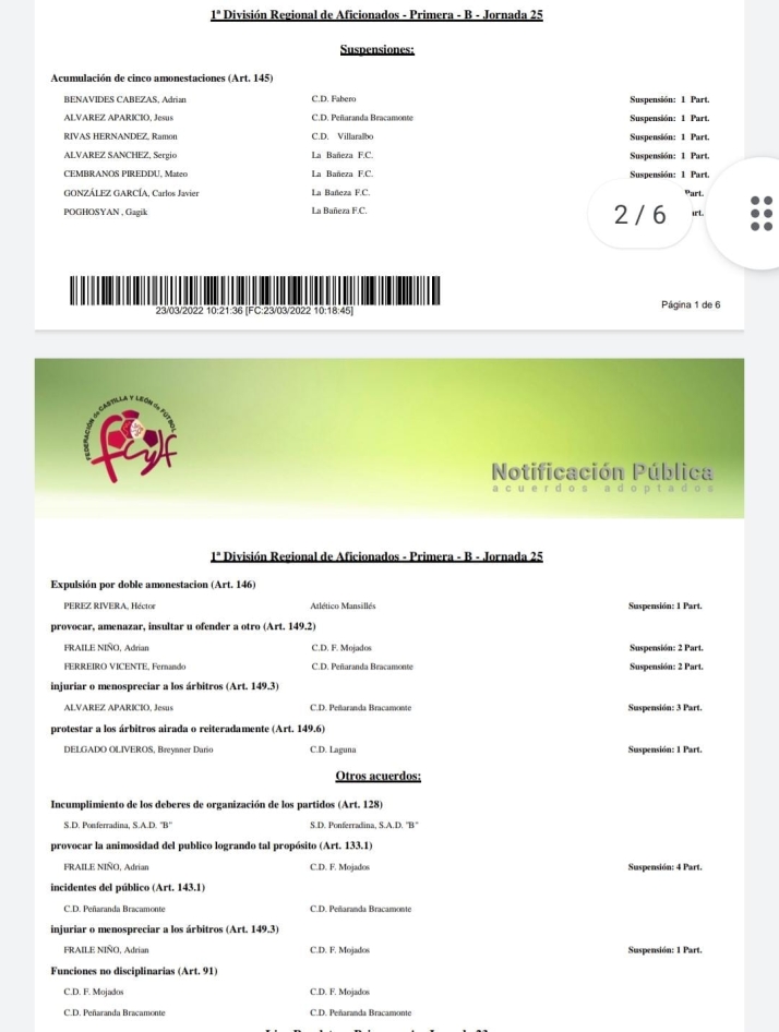 Competici&oacute;n sanciona con siete partidos al entrenador del Mojados por los incidentes vivido con el Pe&ntilde;aranda | Imagen 1