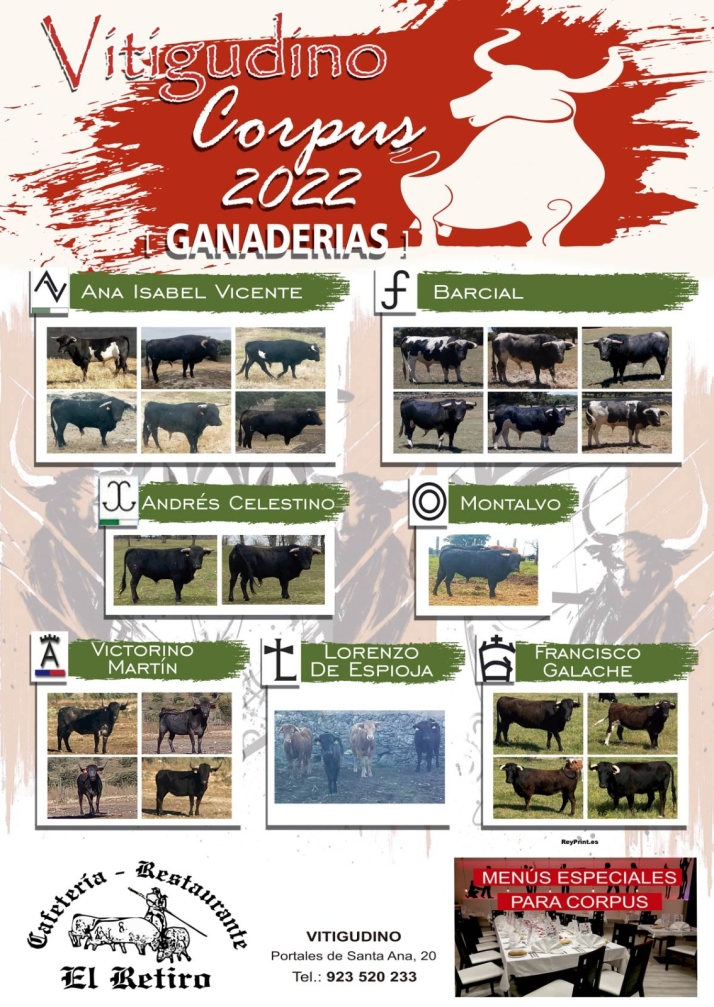 Este es el ganado que saltar&aacute; a las calles y la plaza de toros de Vitigudino estos Corpus | Imagen 1