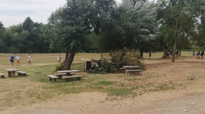 Cae en La Pesquera una gran rama sobre las sillas de una familia que justo se estaba ba&ntilde;ando | Imagen 1