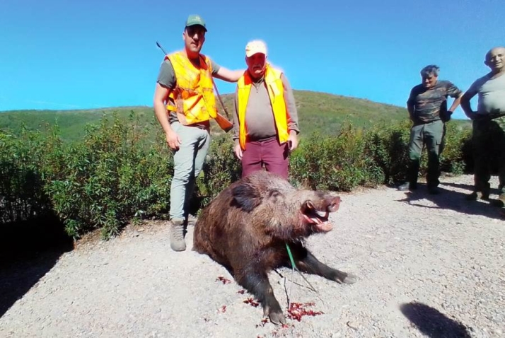 Abatido en Vegas de Domingo Rey un jabal&iacute; de 150 kilos | Imagen 1