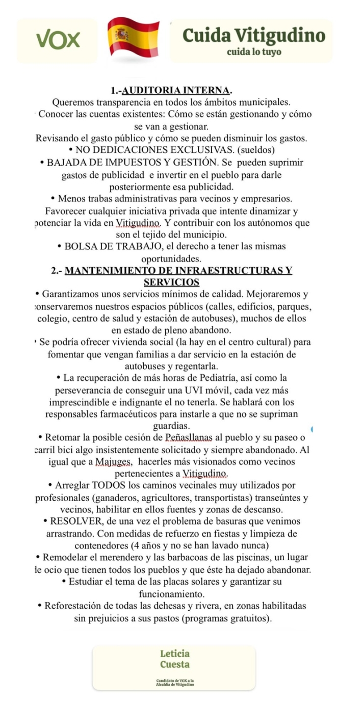 VOX Vitigudino pide el voto y difunde su programa electoral durante el martes de mercado | Imagen 2