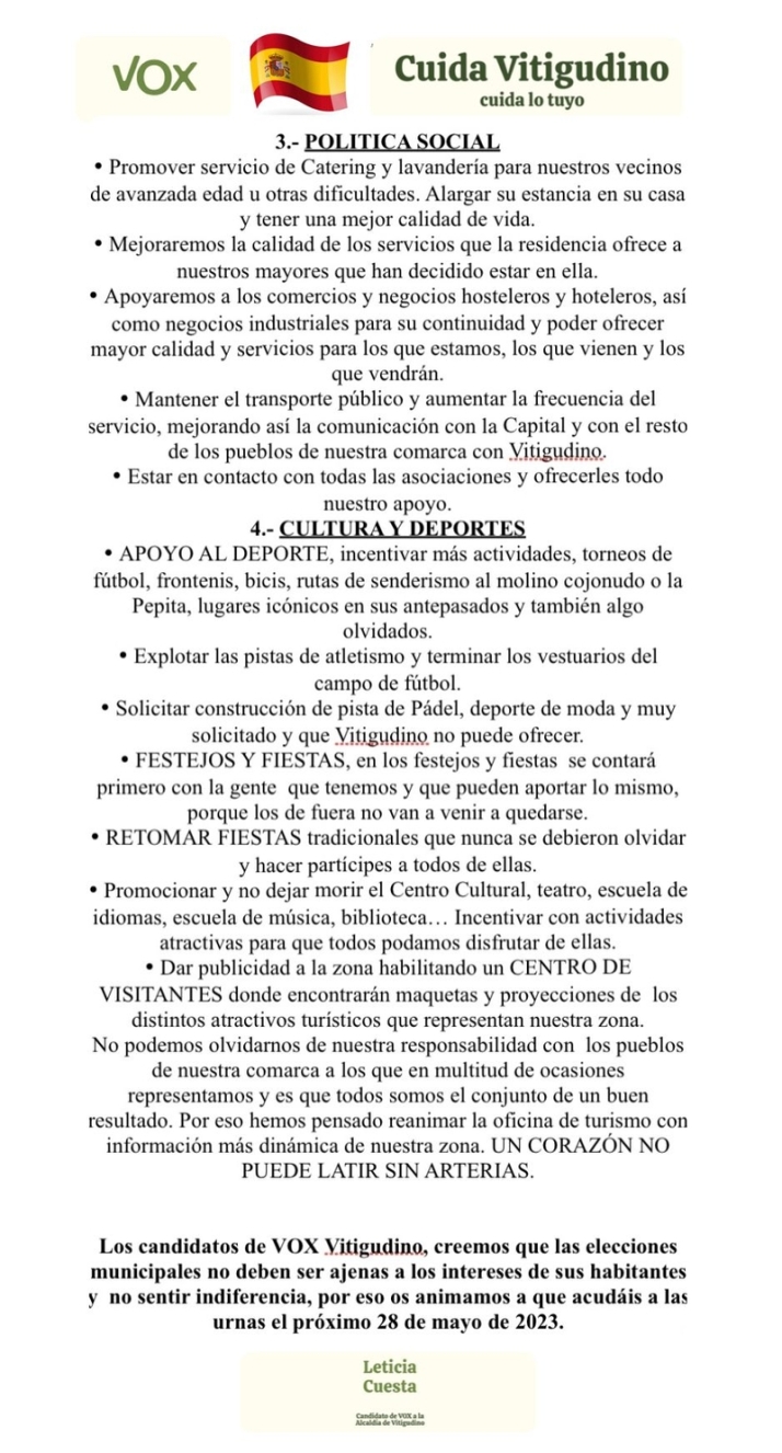VOX Vitigudino pide el voto y difunde su programa electoral durante el martes de mercado | Imagen 3