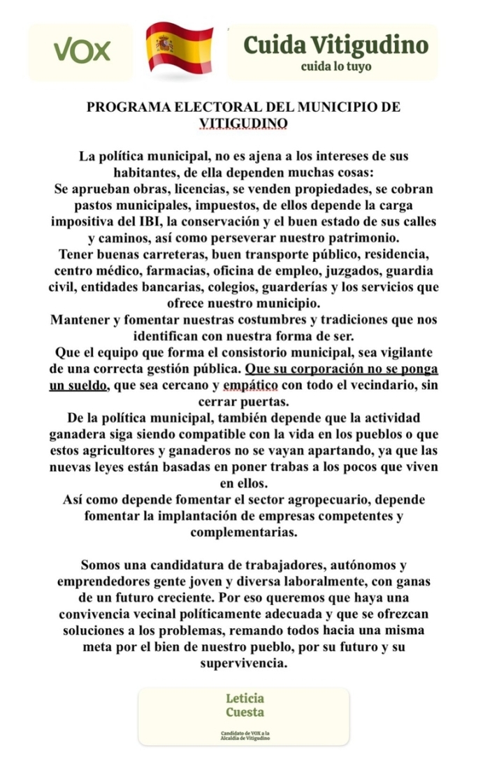 VOX Vitigudino pide el voto y difunde su programa electoral durante el martes de mercado | Imagen 1