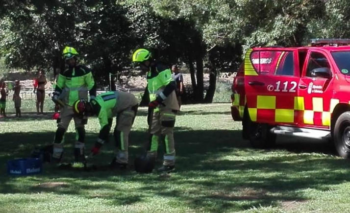 Las avispas llevan a los Bomberos hasta la isla de El Pic&oacute;n | Imagen 1