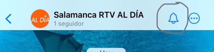 SALAMANCArtv AL D&Iacute;A tiene canal de WhatsApp: s&iacute;guenos para enterarte de todo lo que ocurre en Salamanca  | Imagen 2