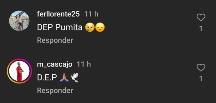 El recuerdo de los ex del Salamanca UDS hacia el 'Puma' Ch&aacute;vez por su fallecimiento | Imagen 6