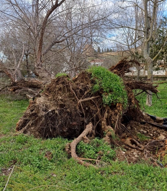 1Foto: Al banco a &lsquo;descansar&rsquo; | Imagen 1